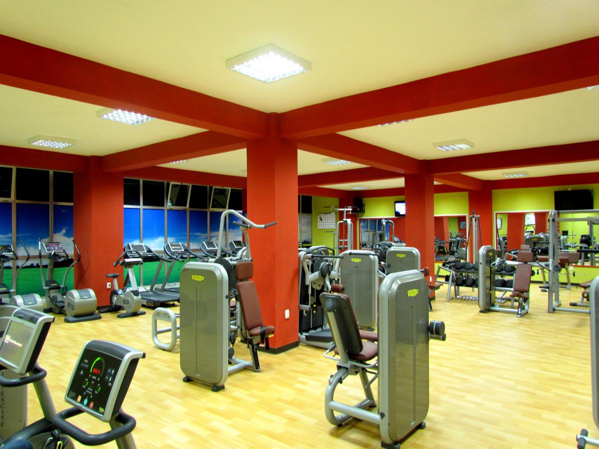 Gymnasium